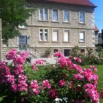Landhaus im Sommer mit rosa Rosenbusch